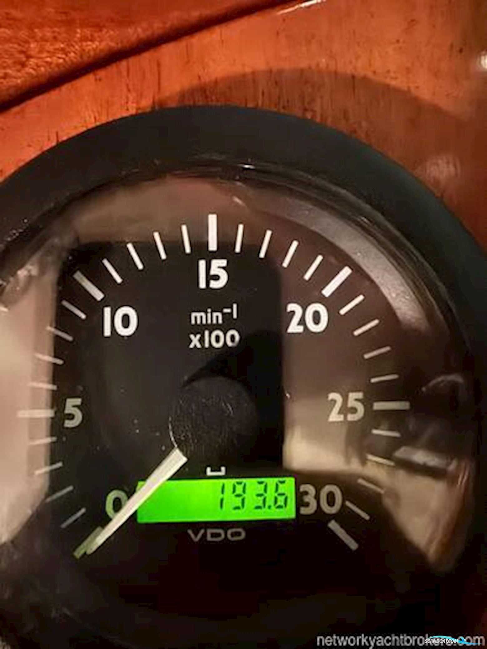 Colombo Leopoldo Lobster 38