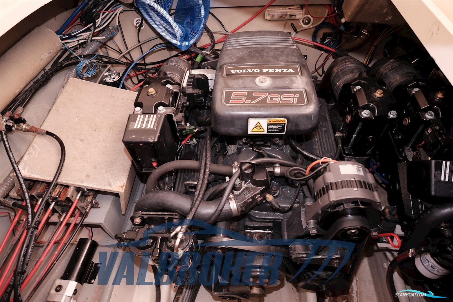 Colombo Sport Fisherman 31