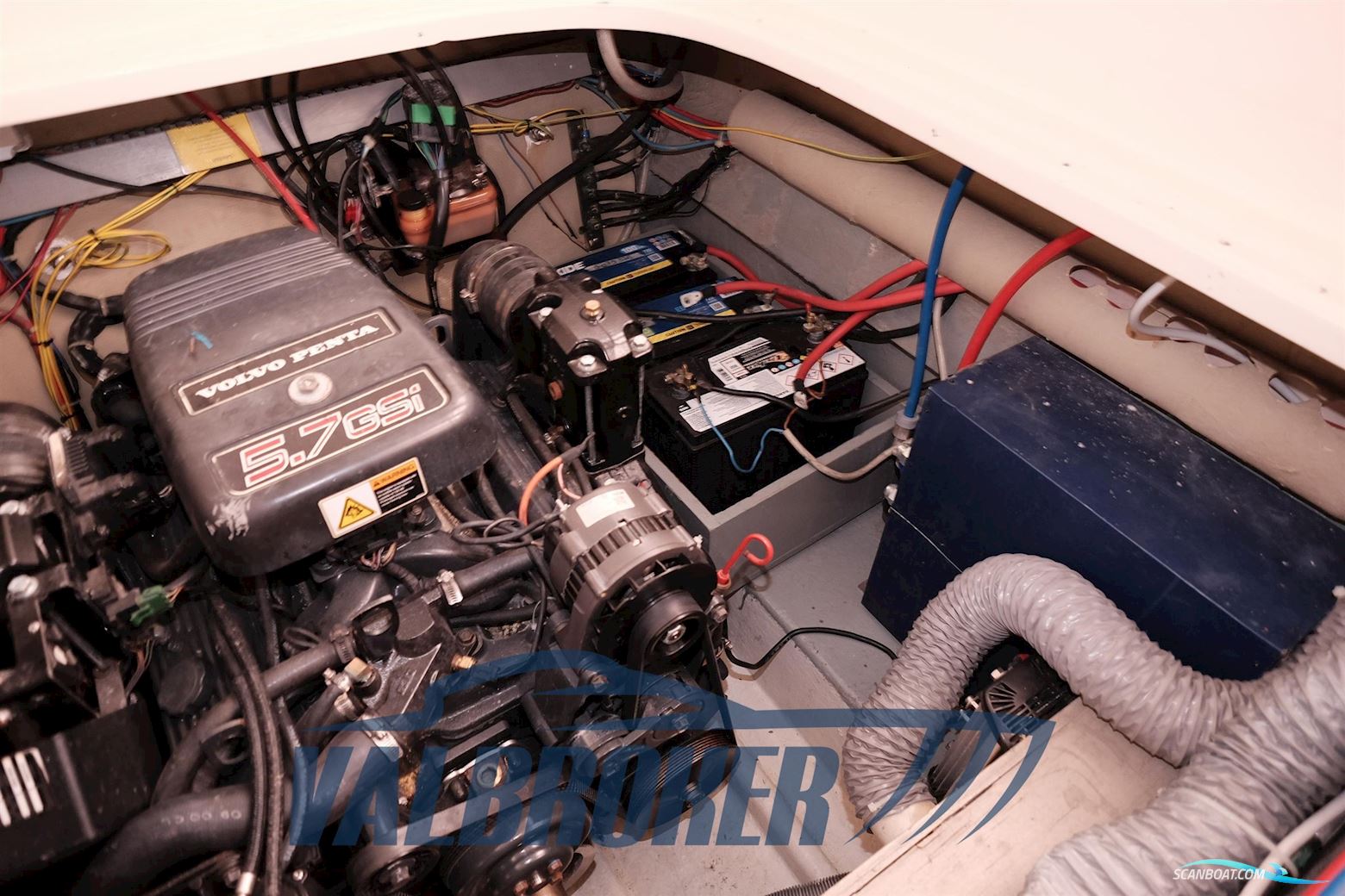 Colombo Sport Fisherman 31