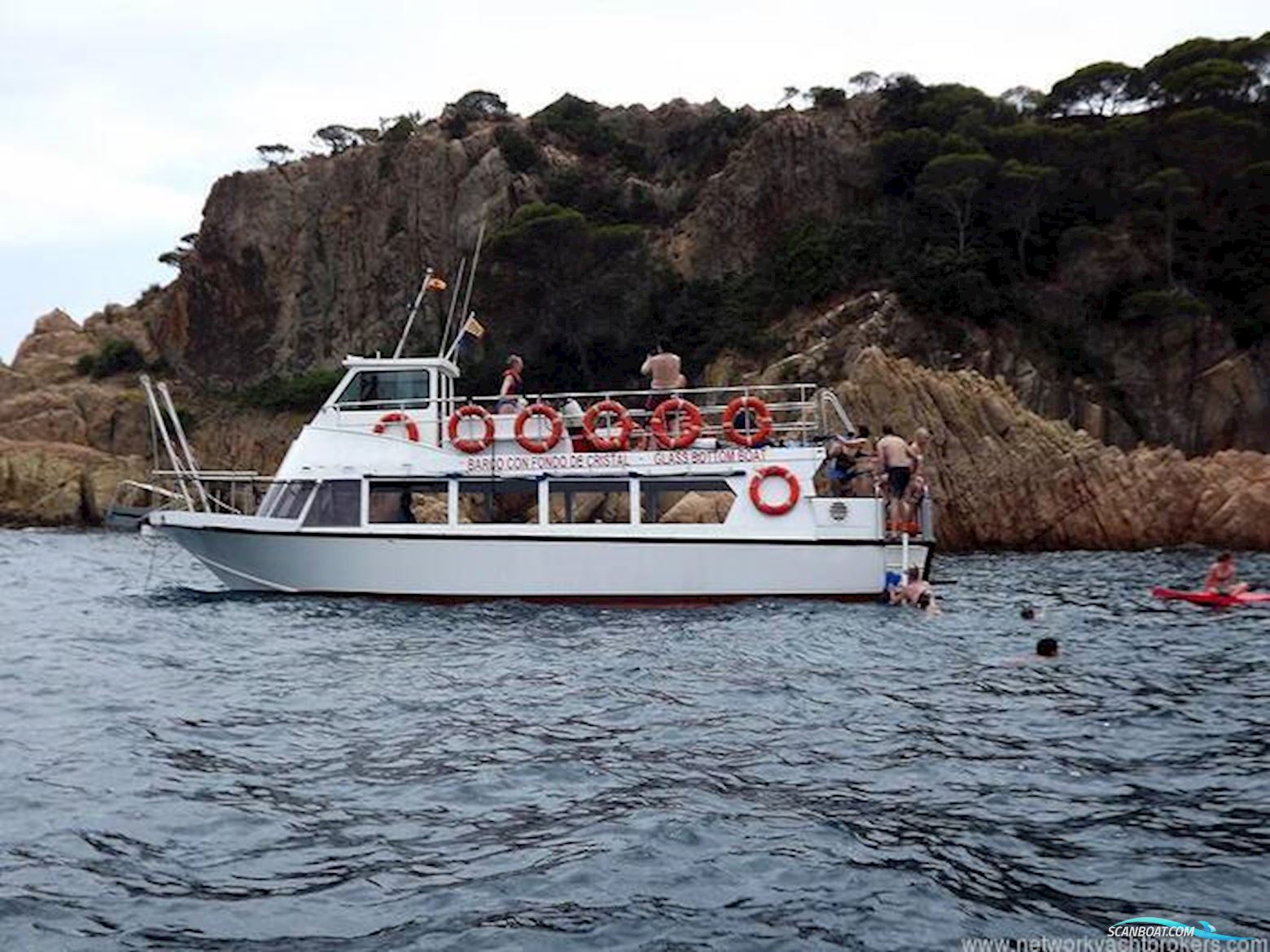 Commercial Snorkelling Day Cruiser Fishing Boat