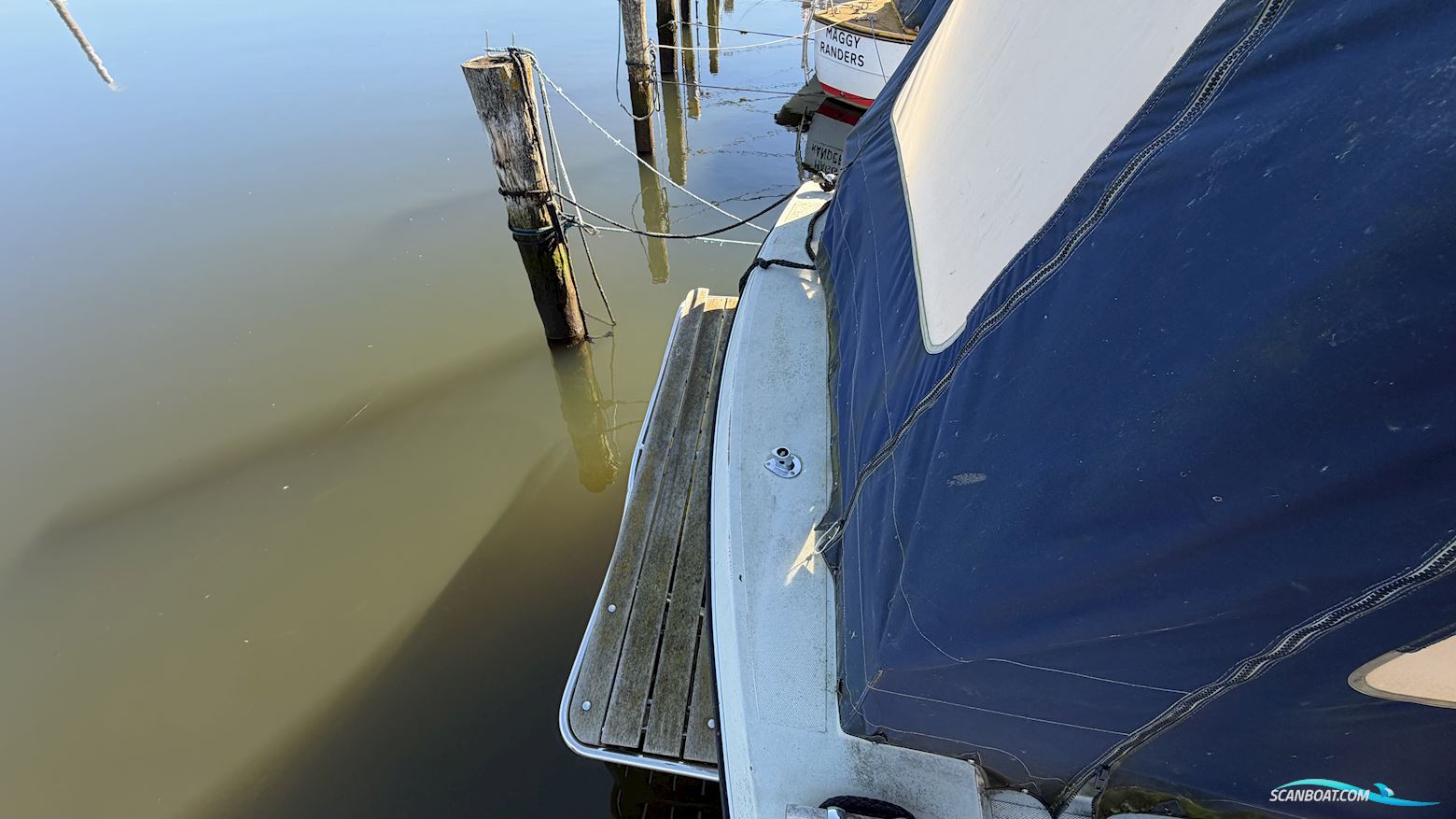 Coronet 26 Family