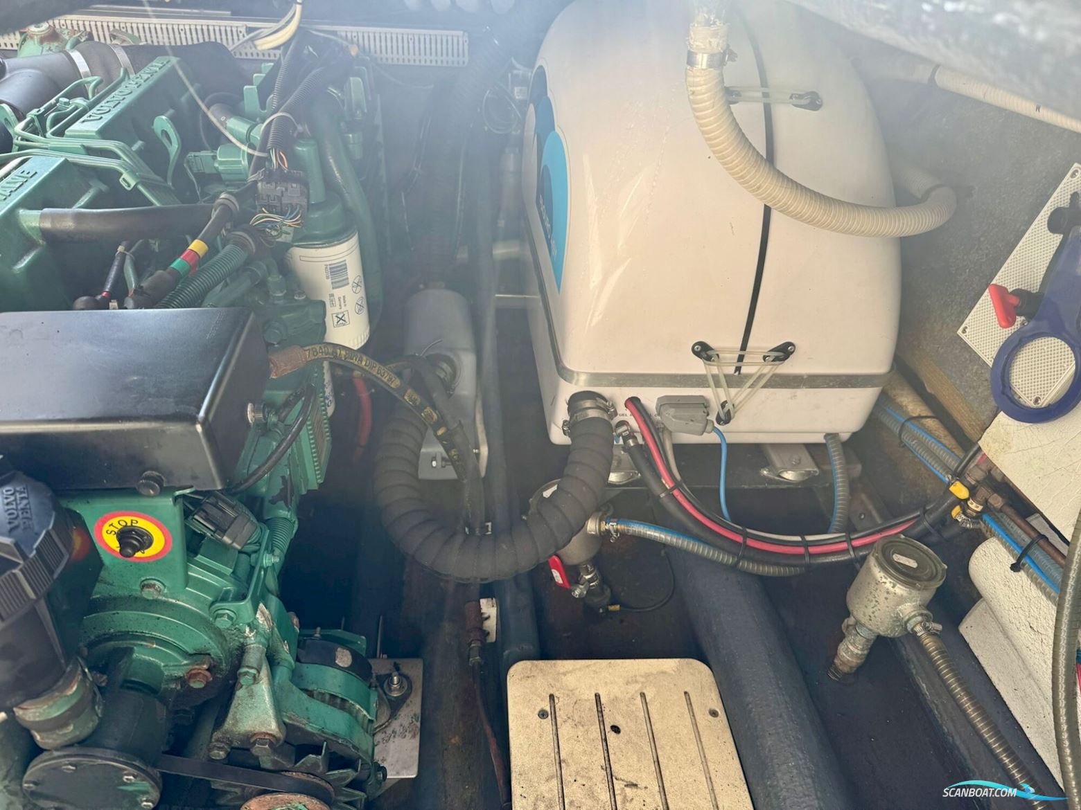 Cranchi Endurance 39 ‘Truluck’s’