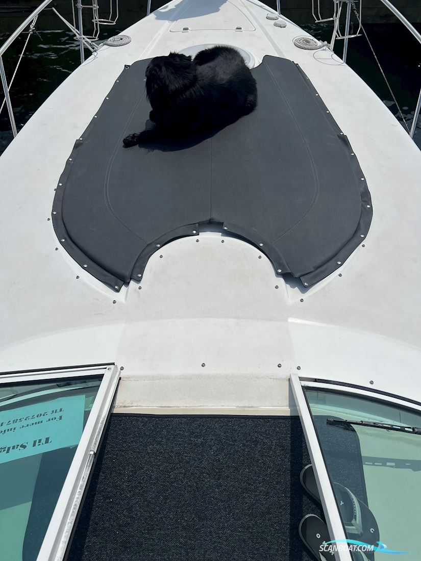 Cruisers Yacht Rouge 3075