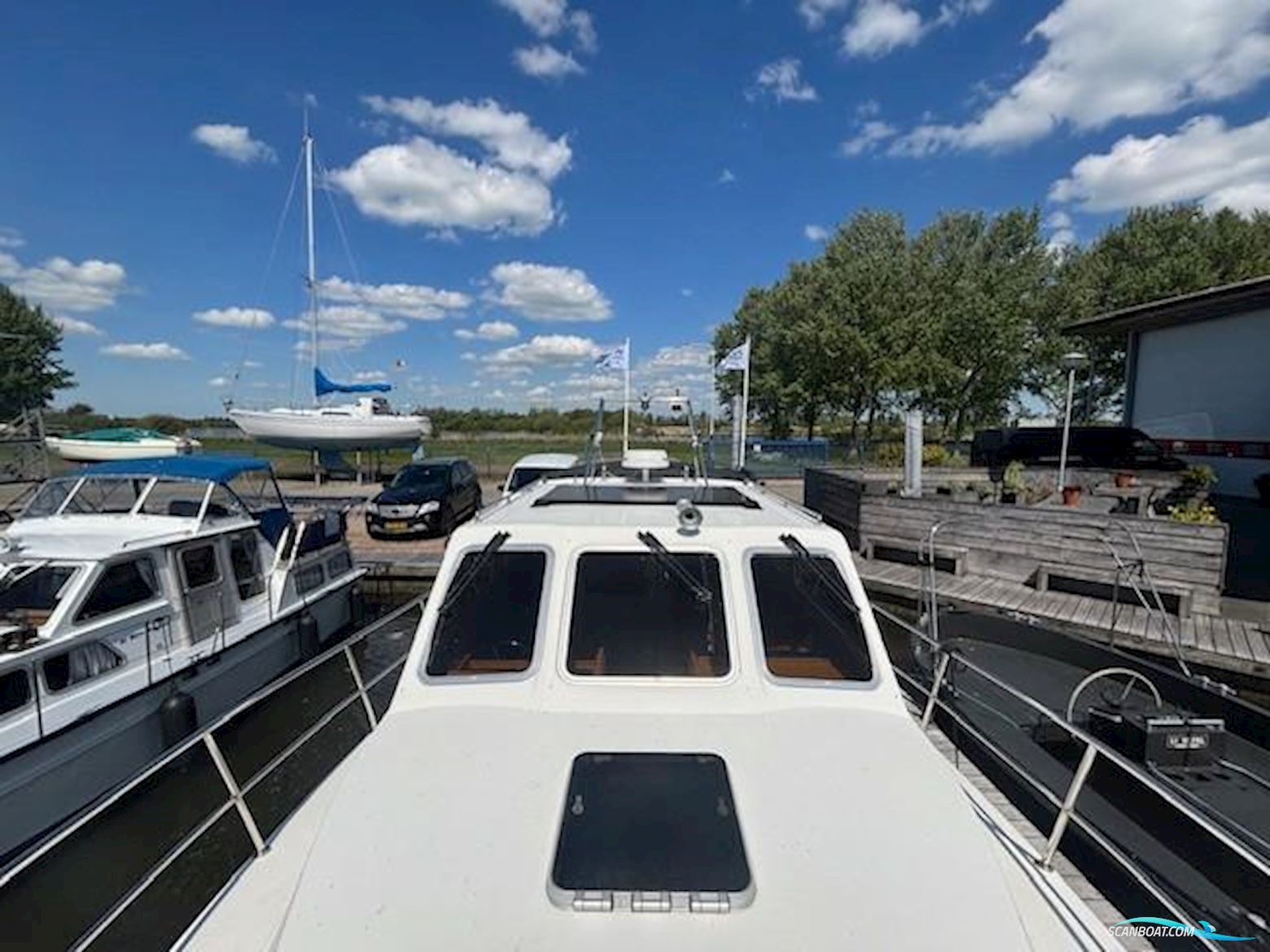 Cygnus Cyfish 33