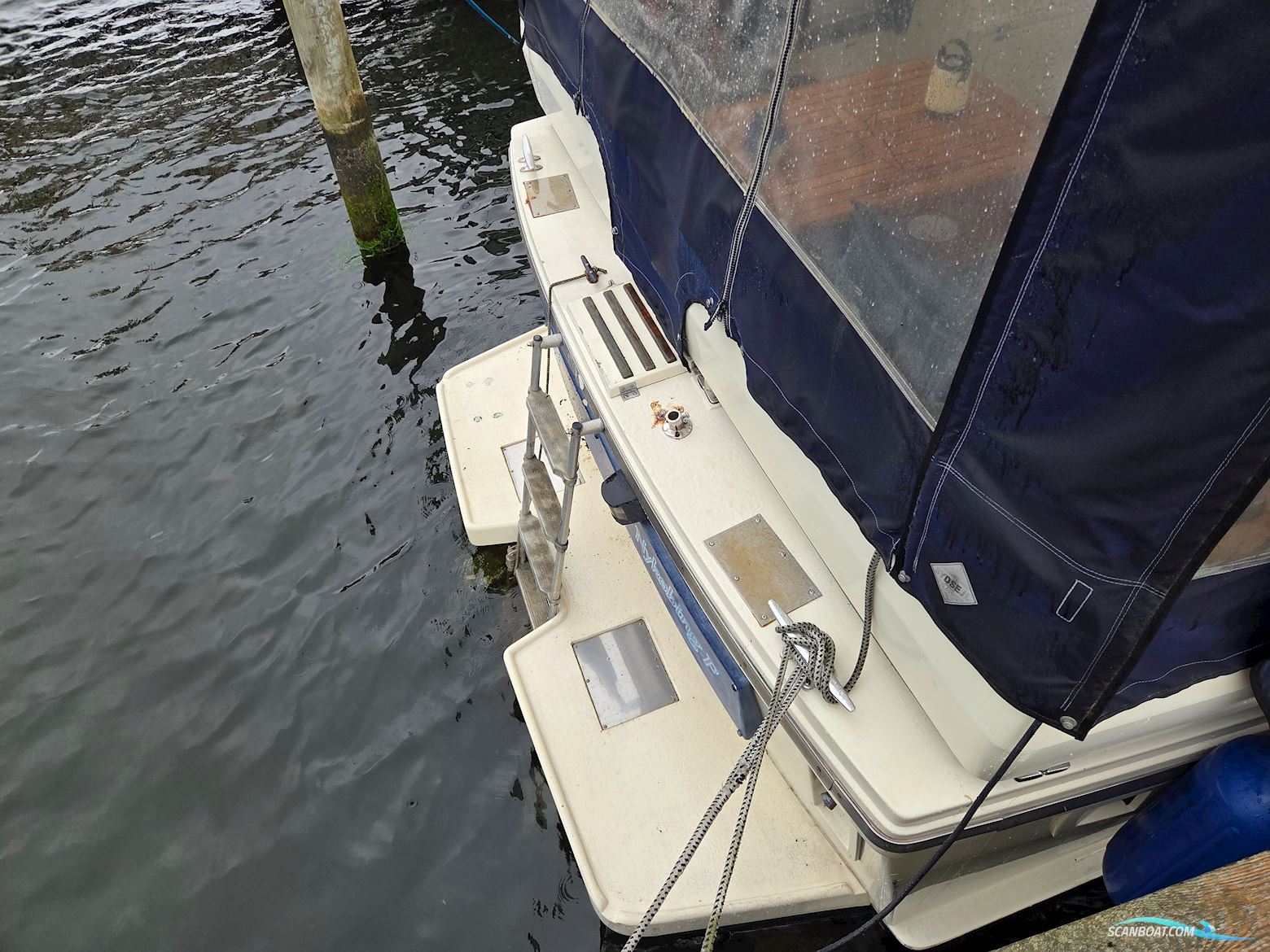 Cytra Skipper 31 SG