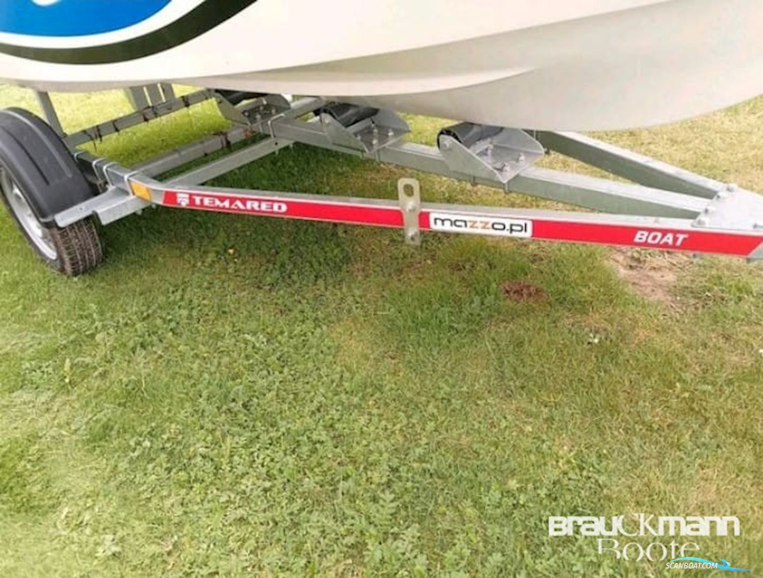 Delfin 435
