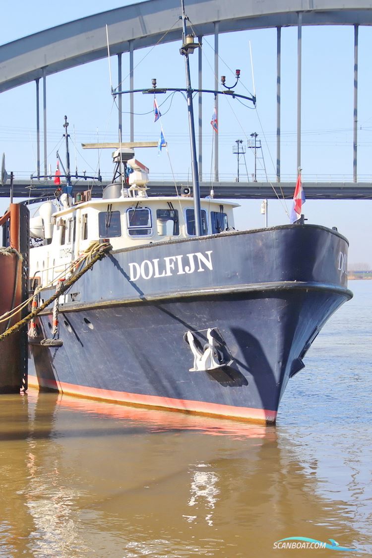 Dolfijn 
