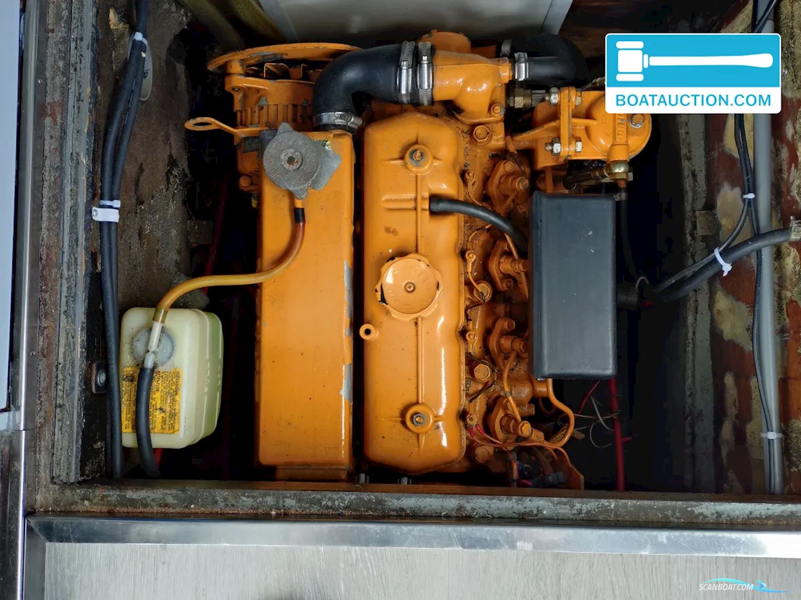 Dongemond kruiser 800