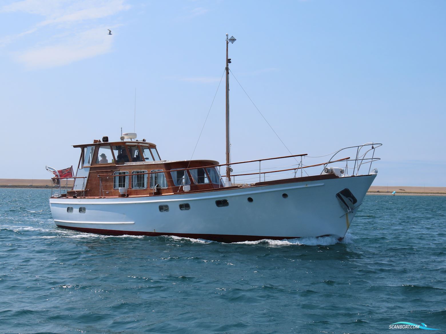 Fleur de Lys 50