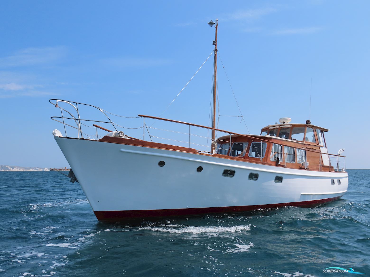 Fleur de Lys 50