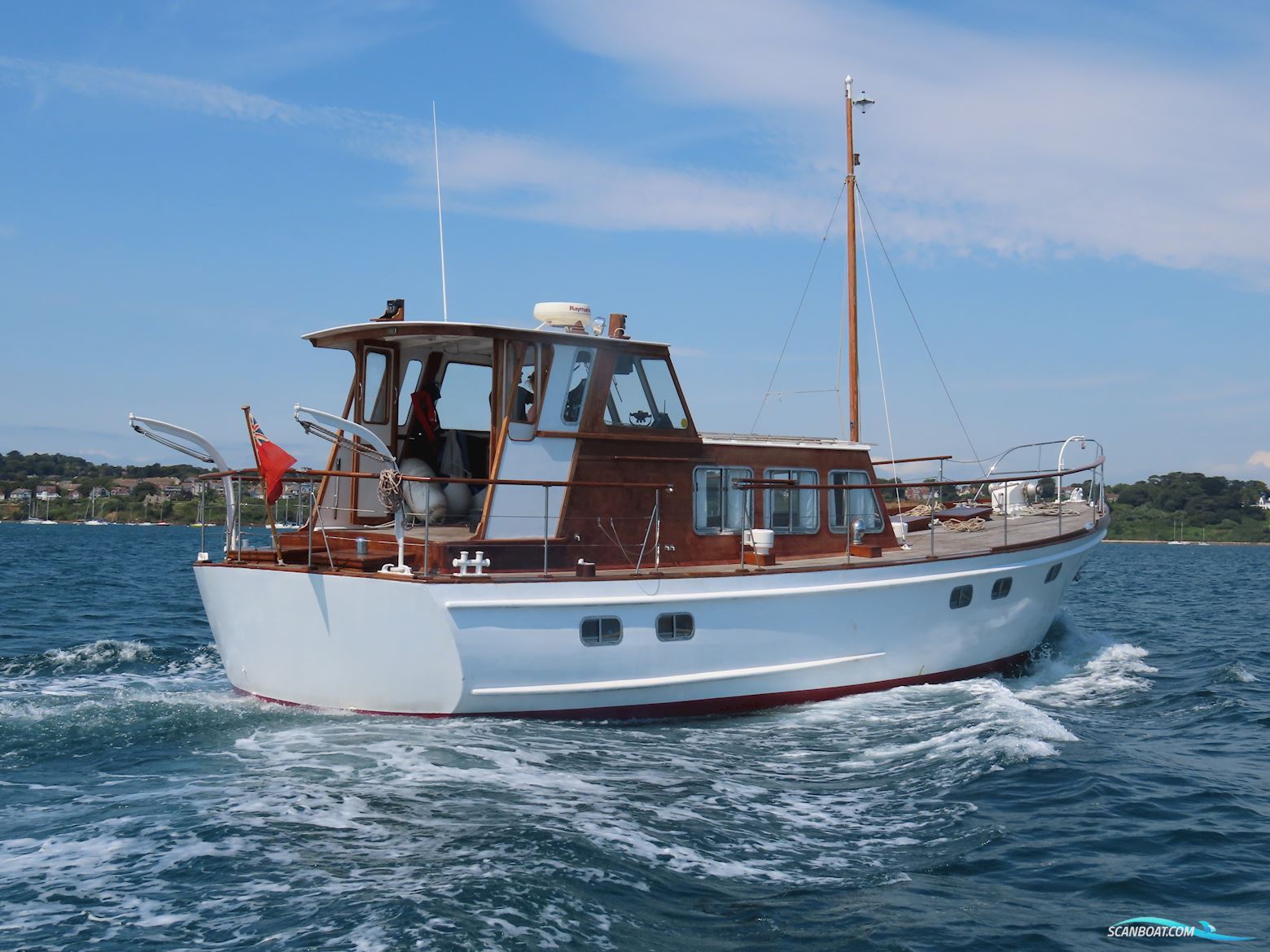 Fleur de Lys 50
