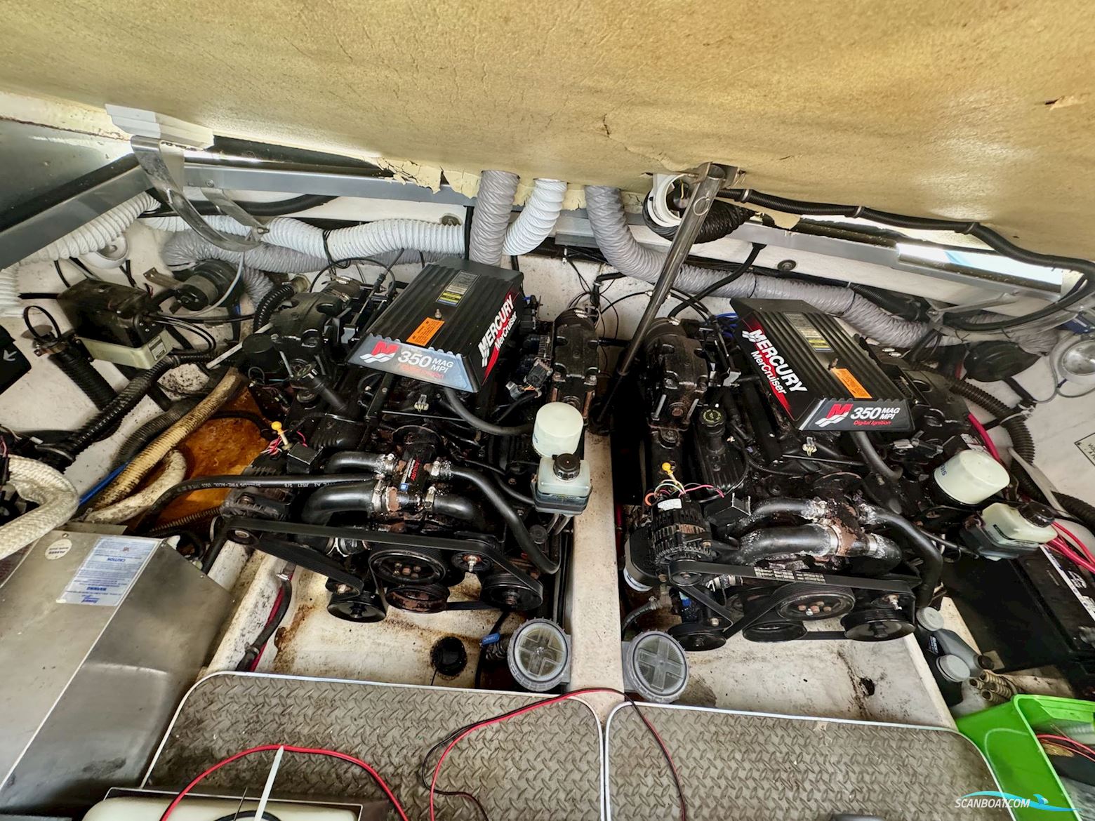 Formula 33 Sun Sport
