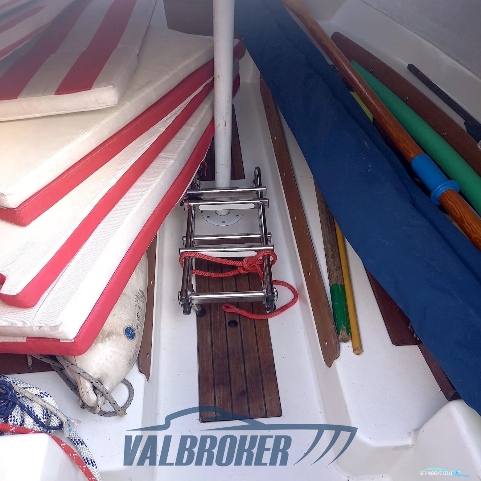 Gozzo Genovese Baciccia