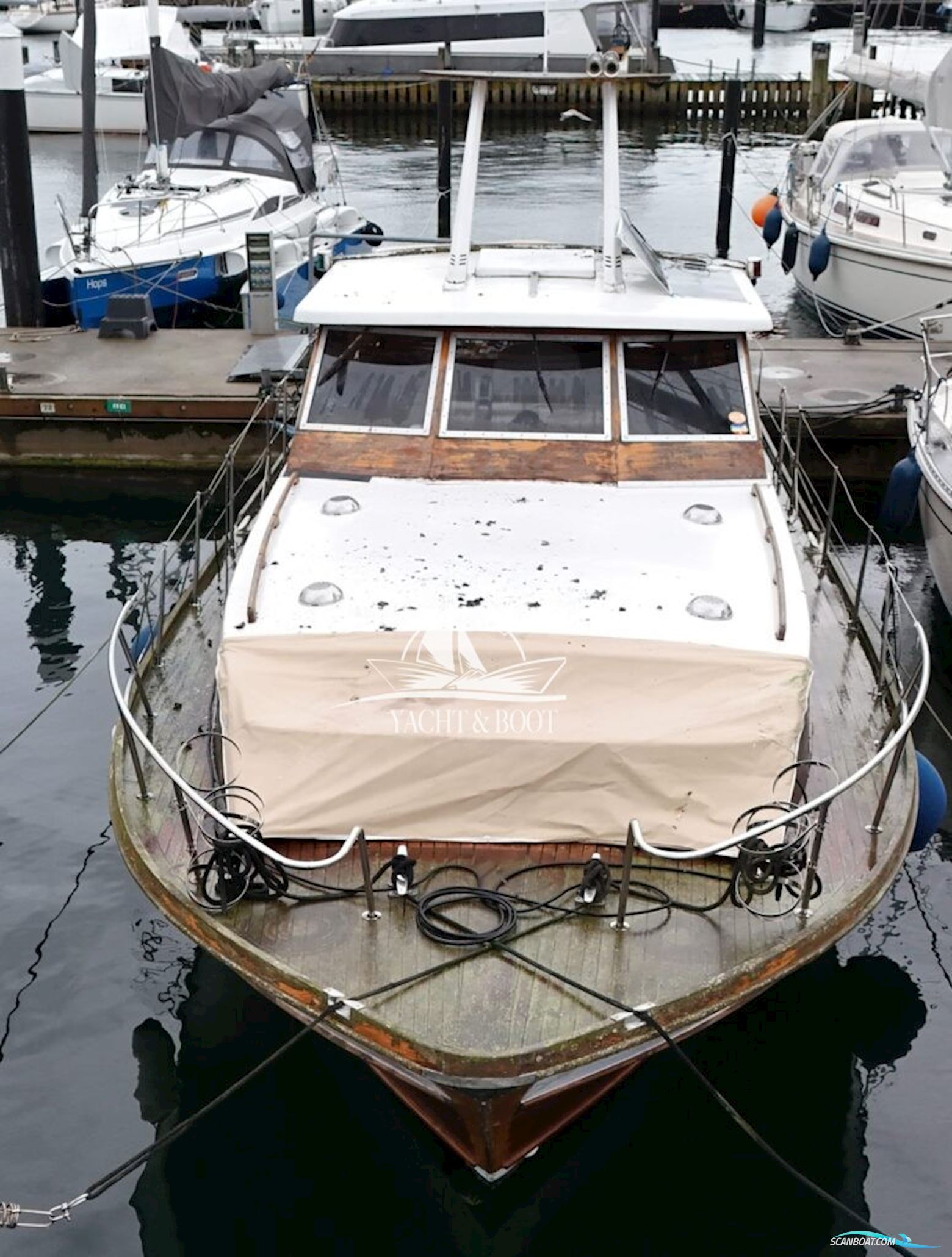 Hansen & Arnutzen Norway Hansen & Arnutzen Norway Mahogany Cruiser