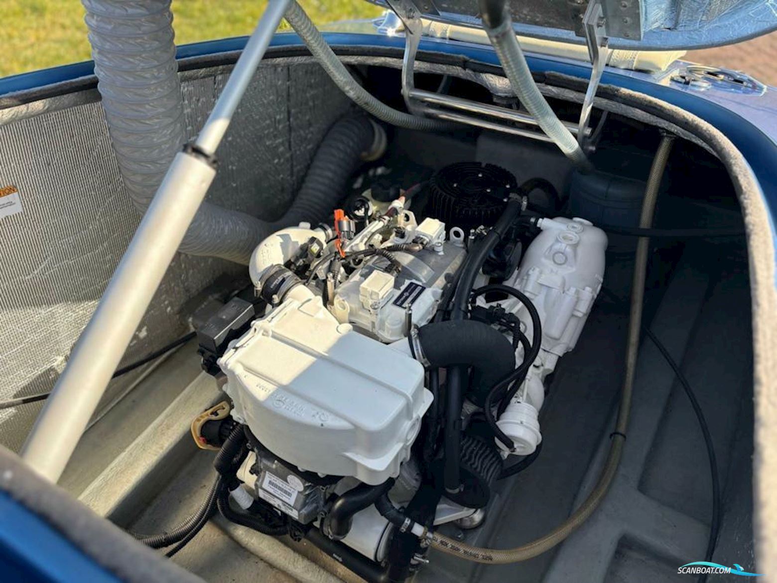 Hermes Venus Speedster