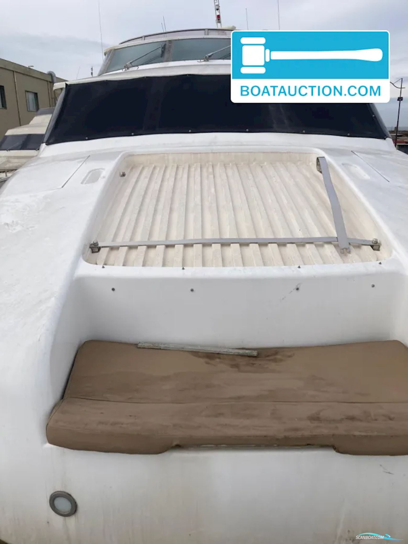 Horizon Elegance 92 Dynasty