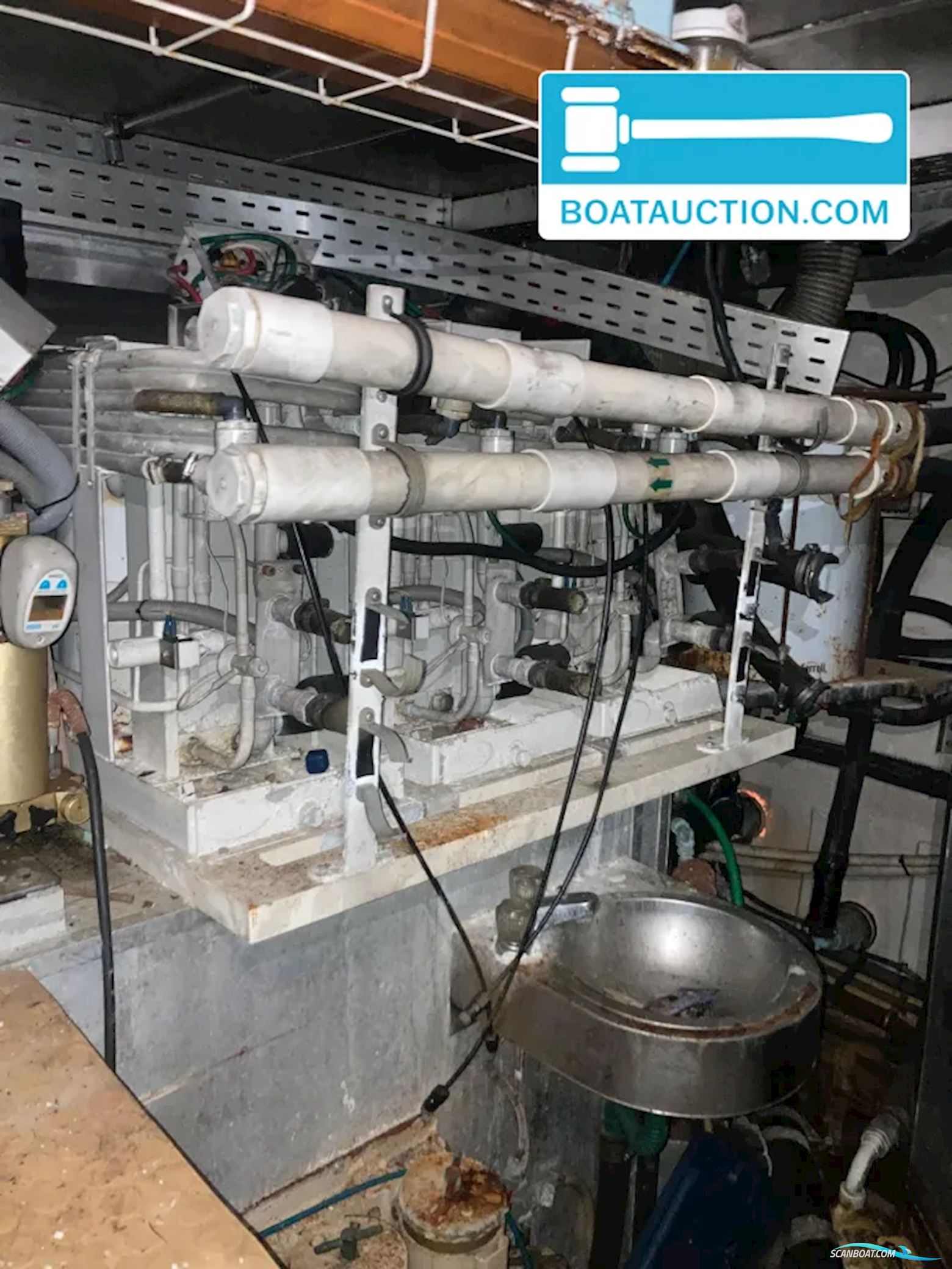 Horizon Elegance 92 Dynasty