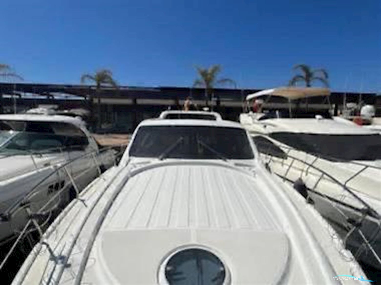 Innovazione e Progetti IPY 49