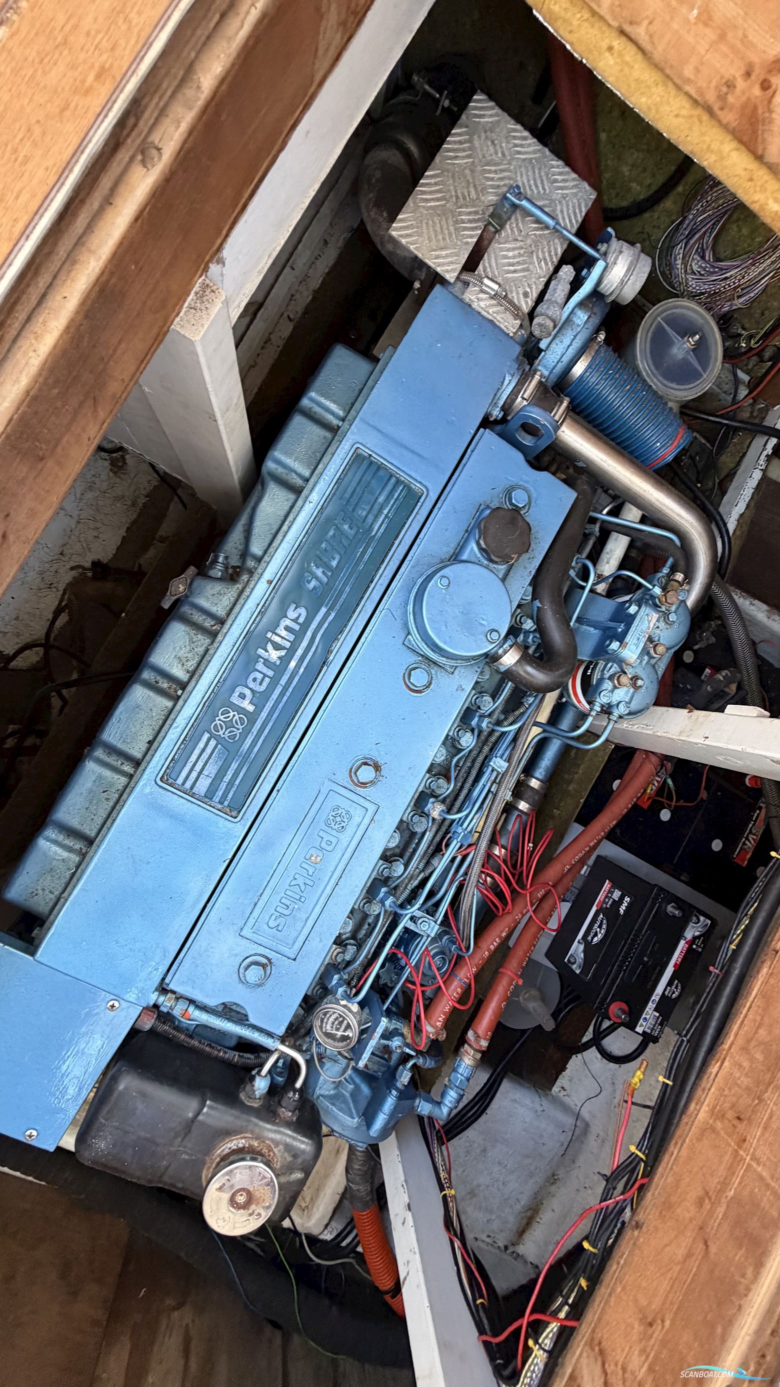 Jupiter 31
