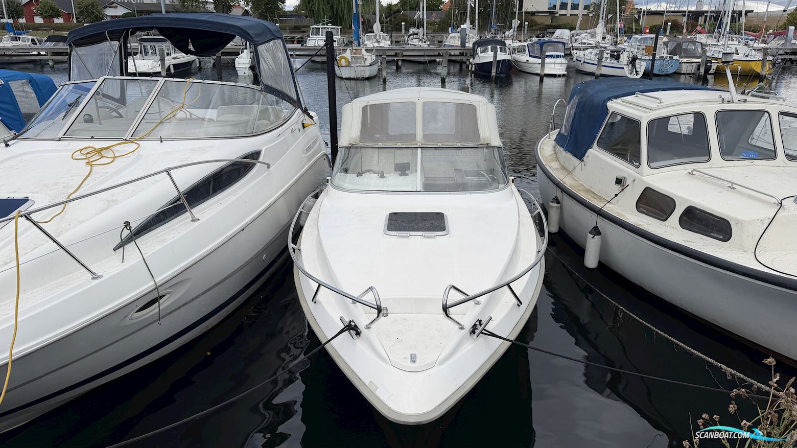Laguna 7500