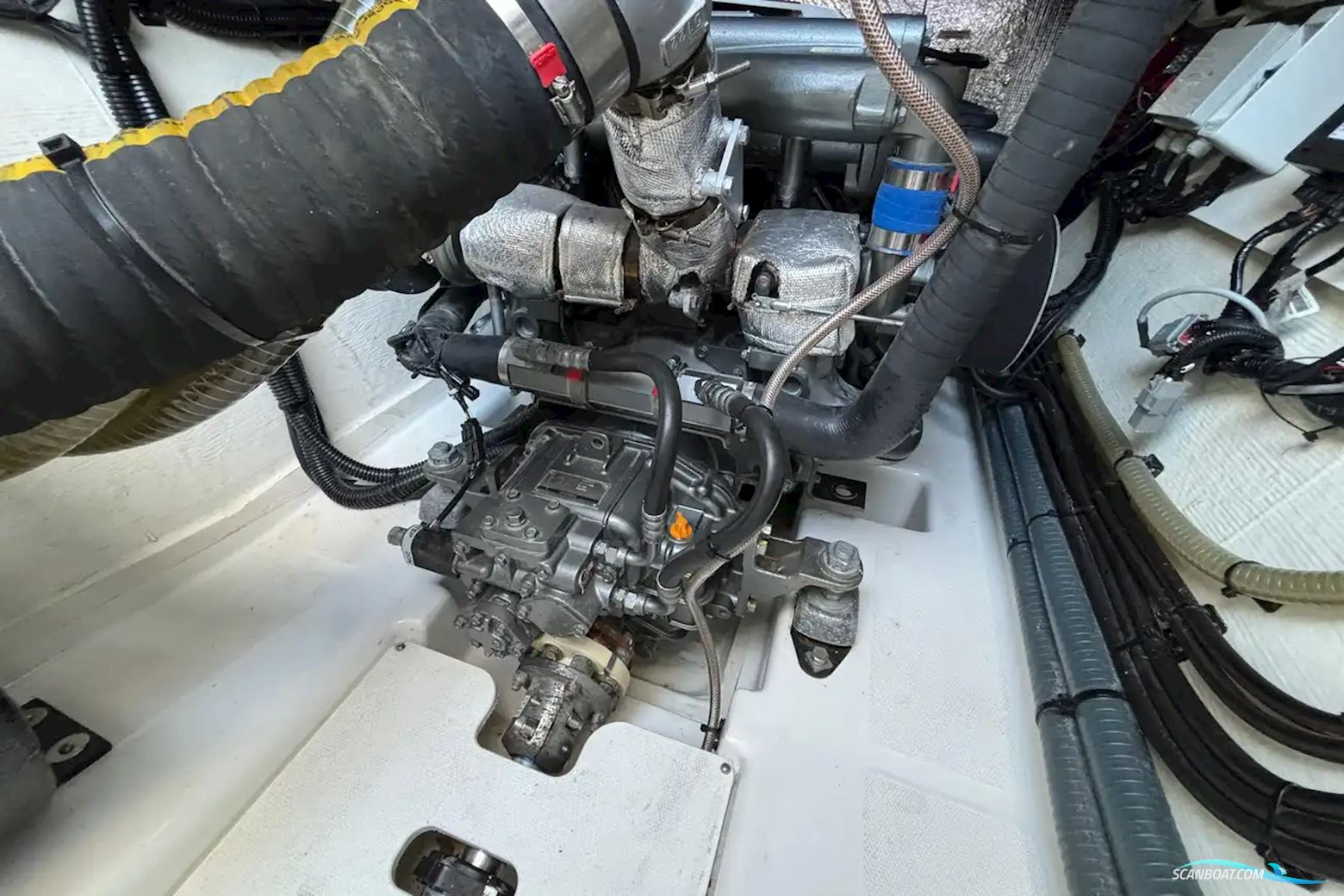 LEOPARD 40 Powercat