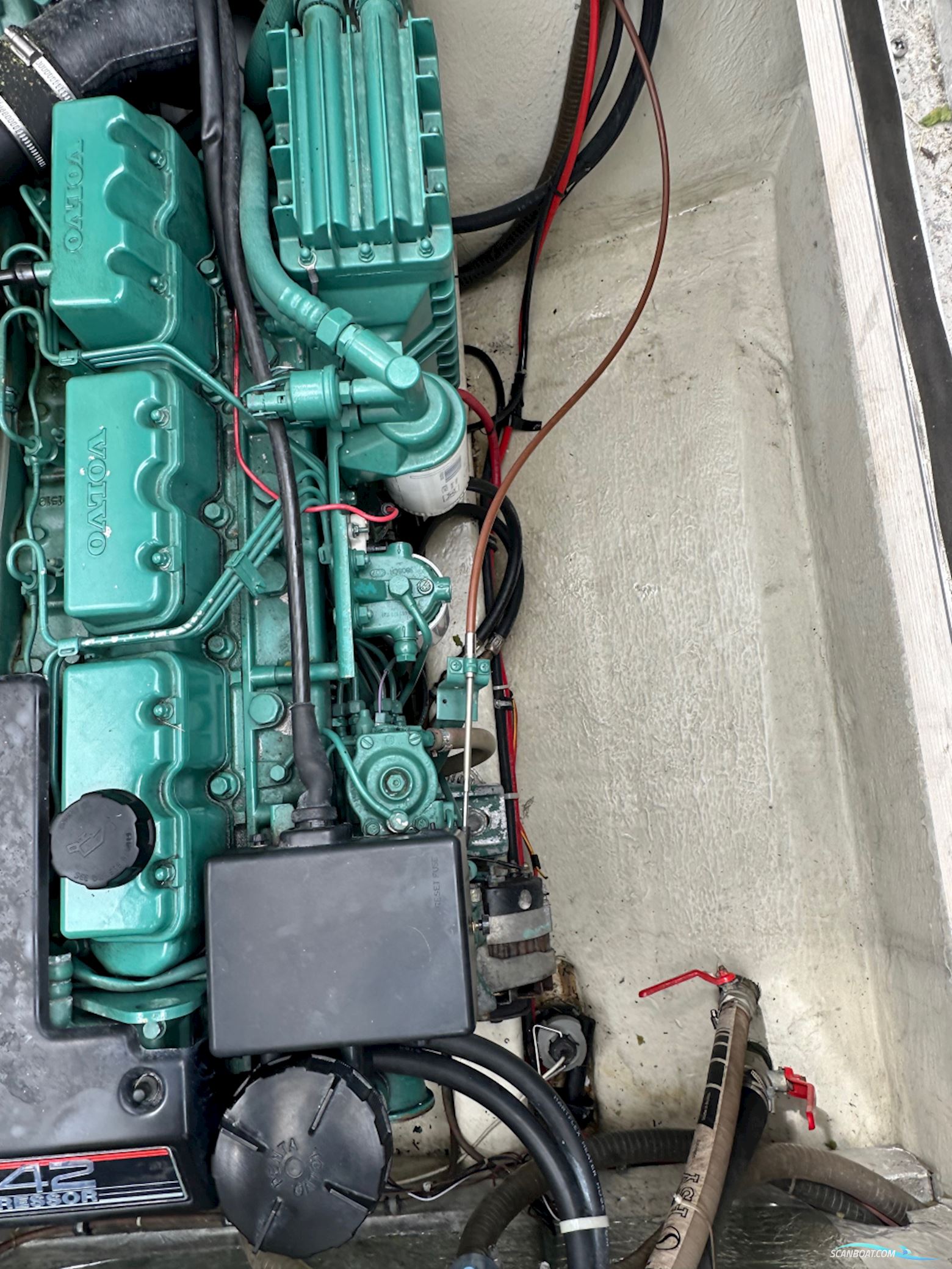 Marex 290 Sun Cruiser