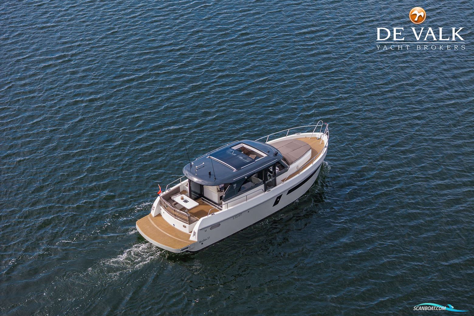 Maxima 37