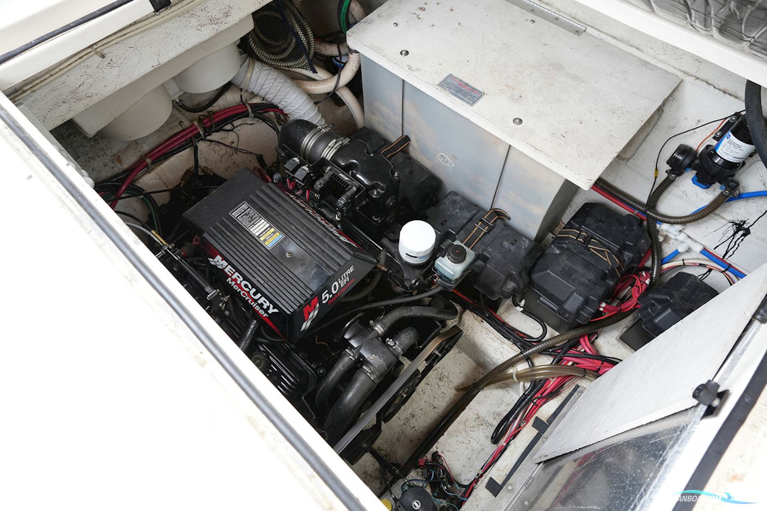 Maxum 3300 Scr
