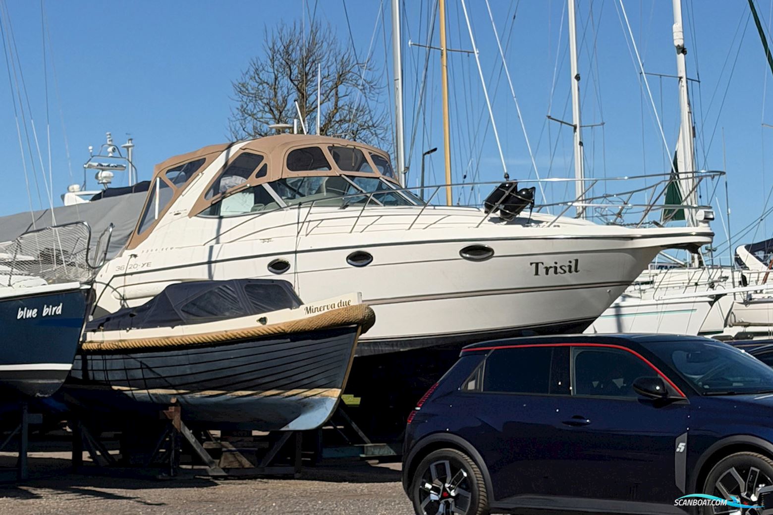 Maxum 3300 Scr