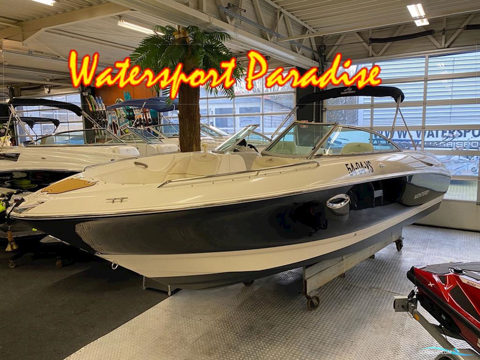 Monterey 248 LS Montura