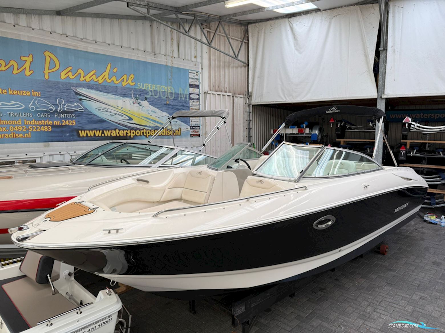 Monterey 248 LS Montura