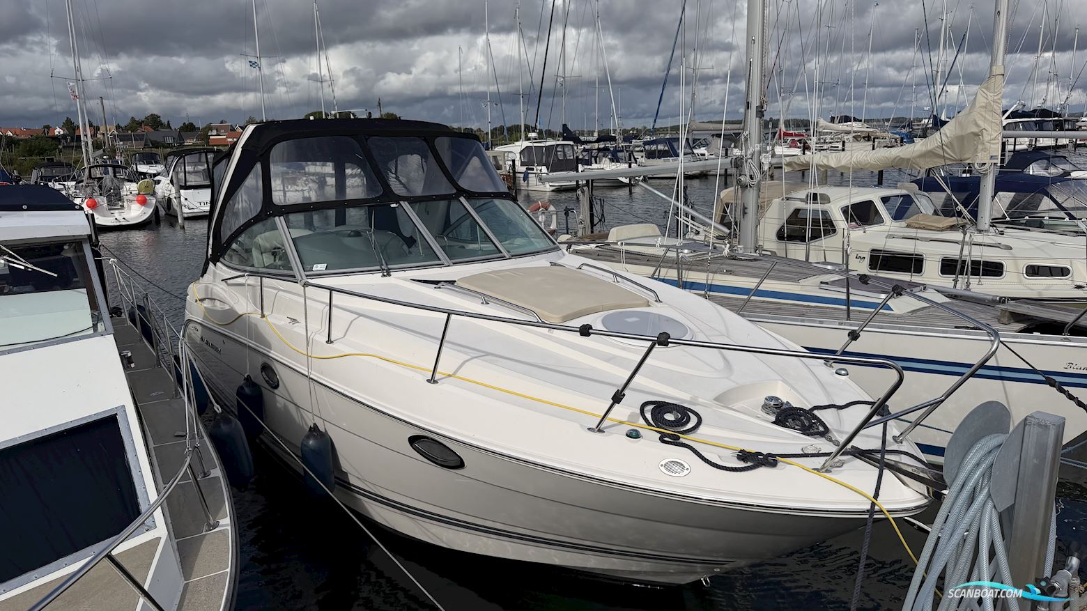 Monterey 290