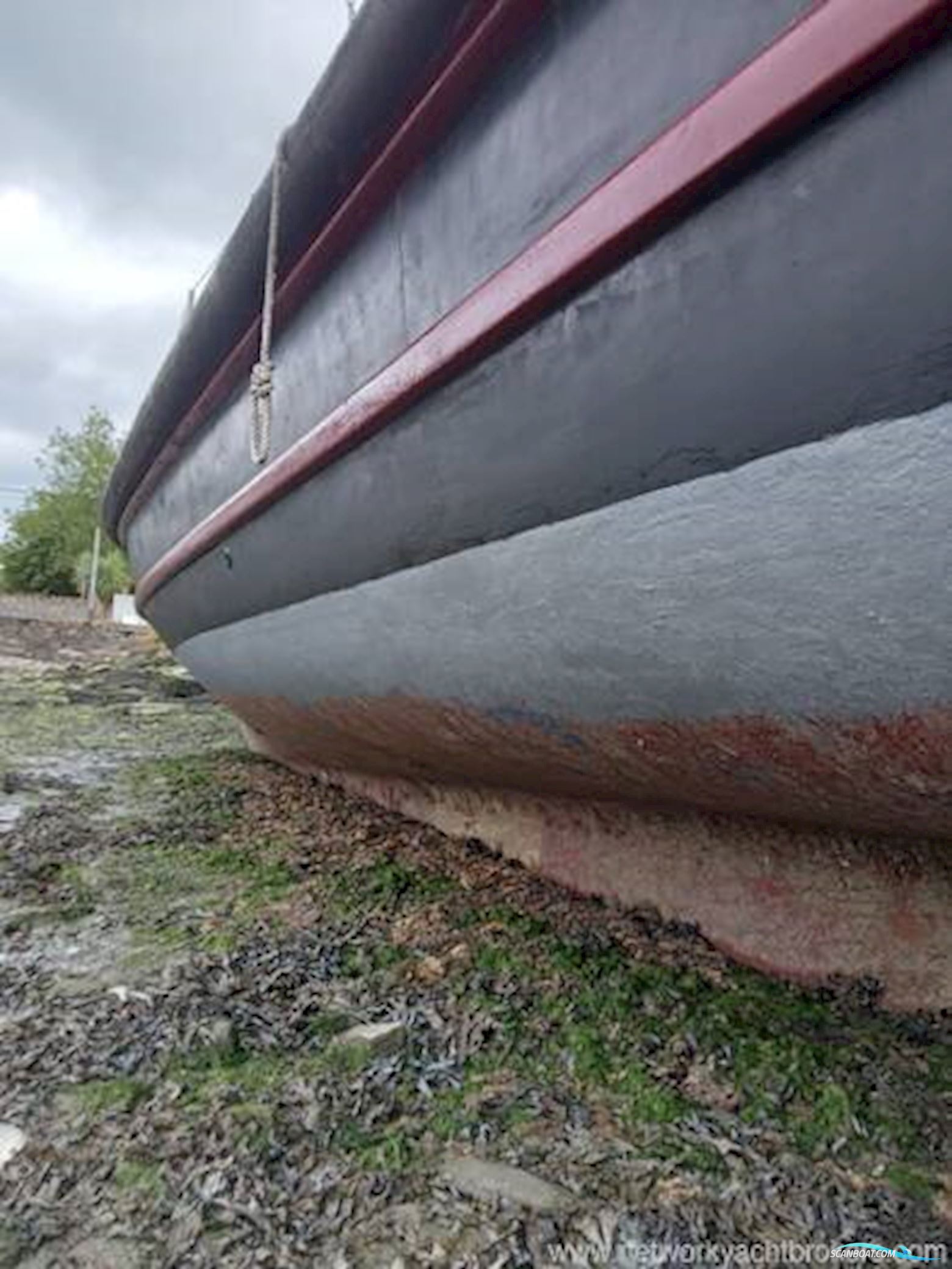 Nelson 40