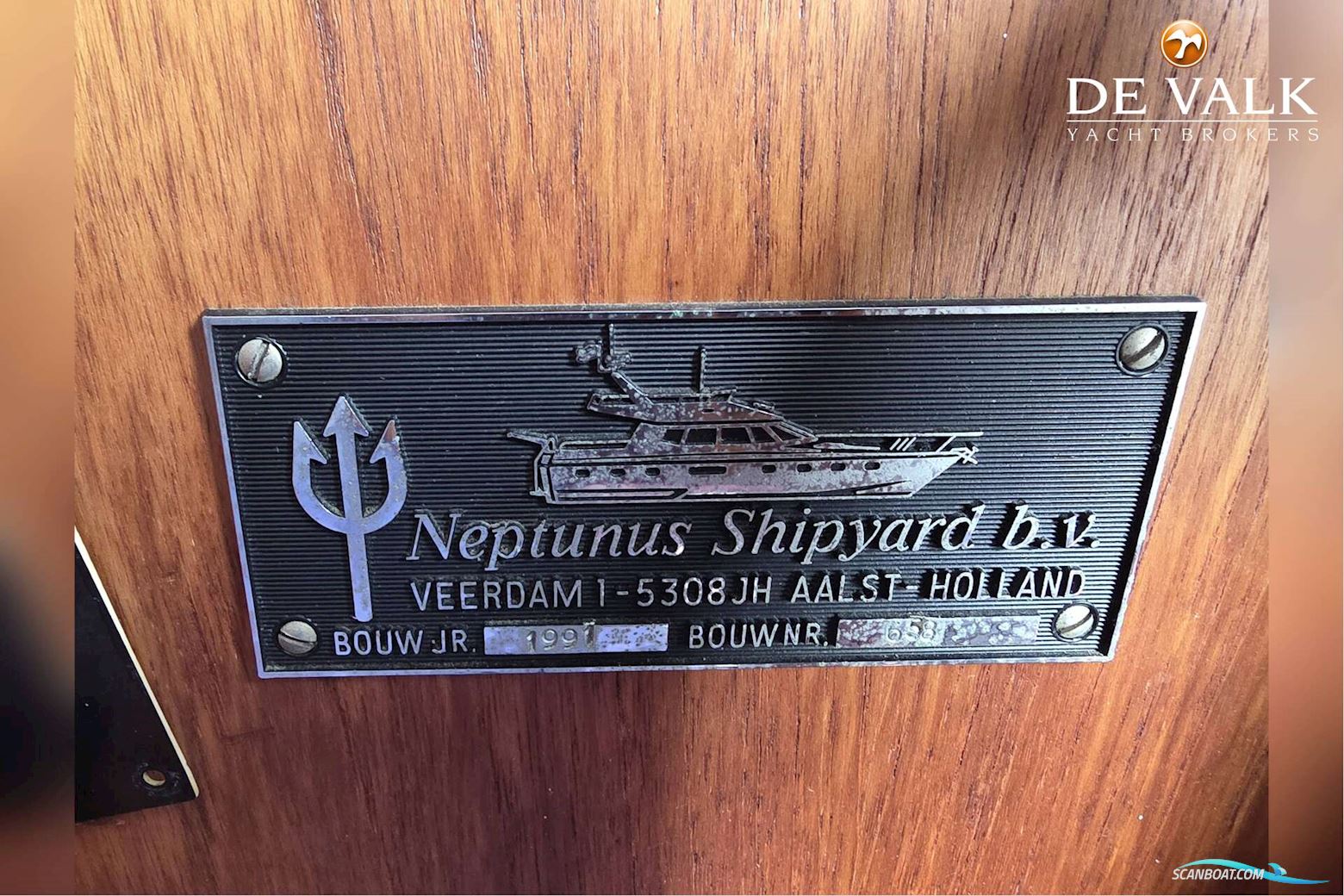 Neptunus 196 Flybridge