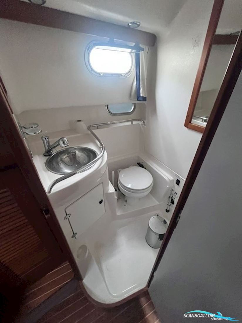 nimbus 35 nova coupe