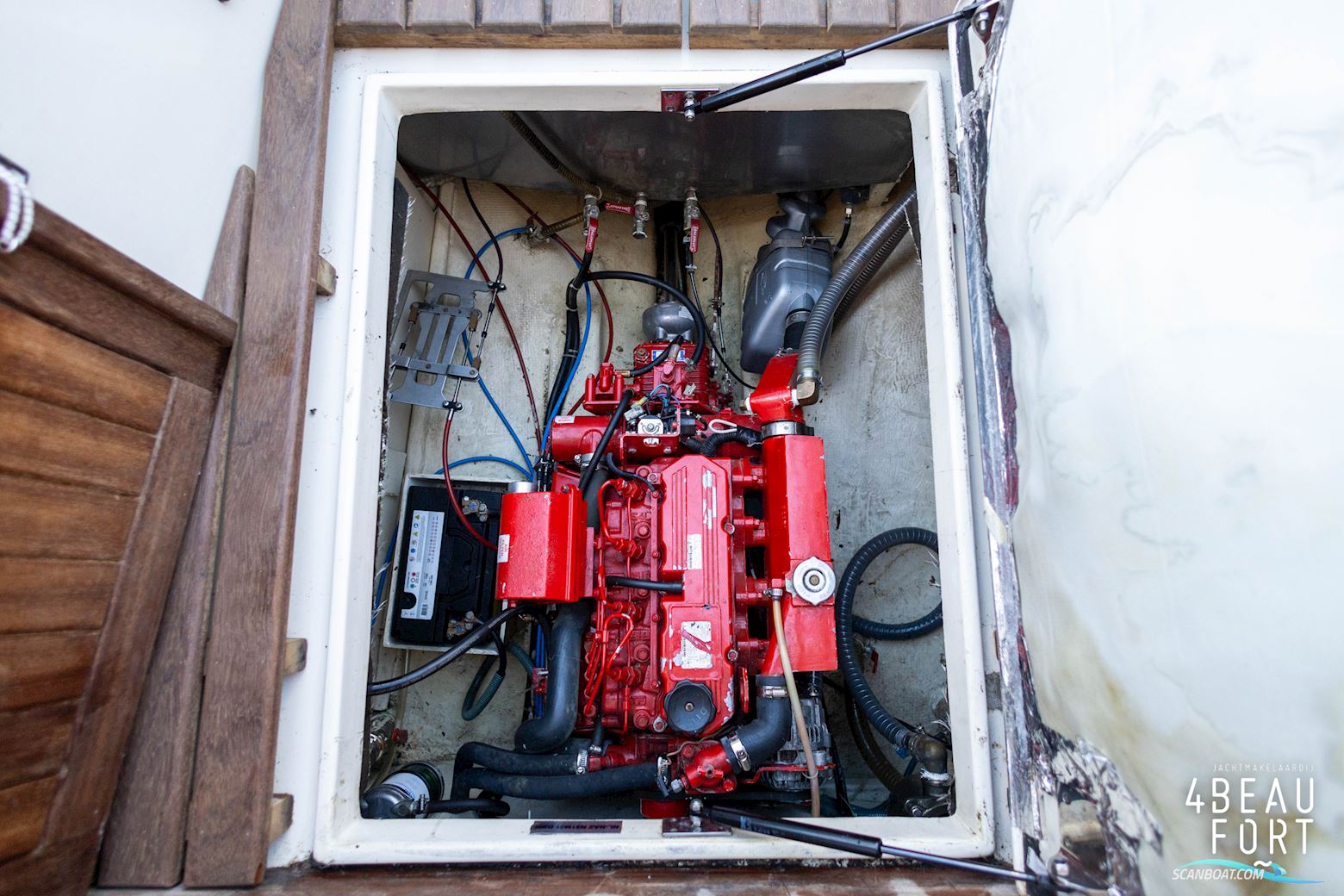 Noordkaper 31M