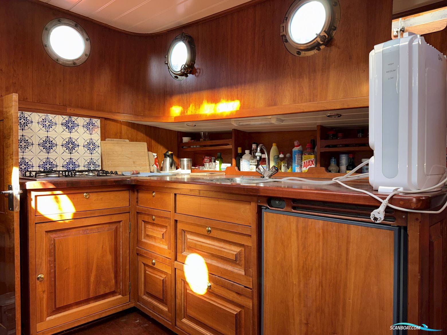 Noordzeekotter ‘WR 134’