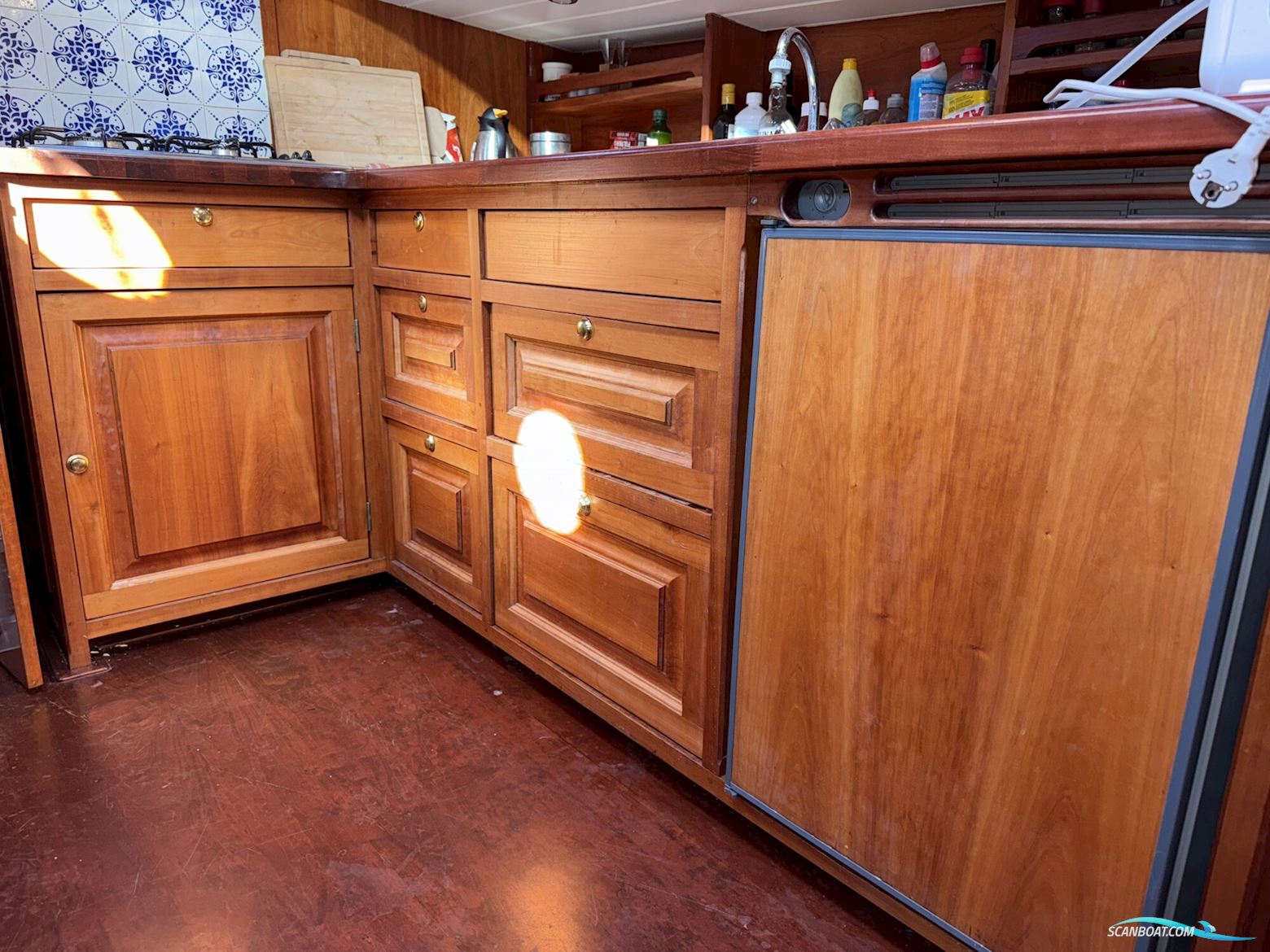 Noordzeekotter  ‘WR 134’