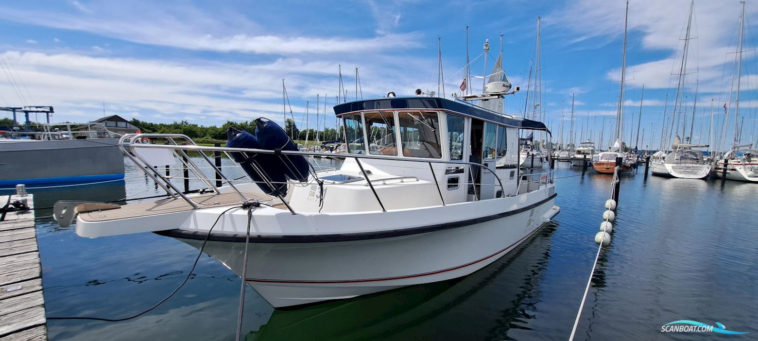 Nord Star 31