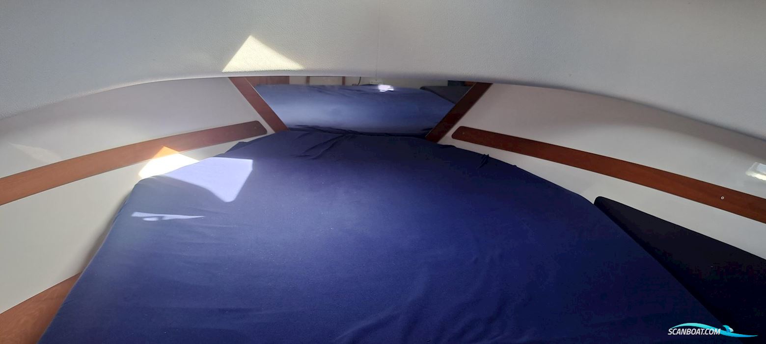 Nord Star 31