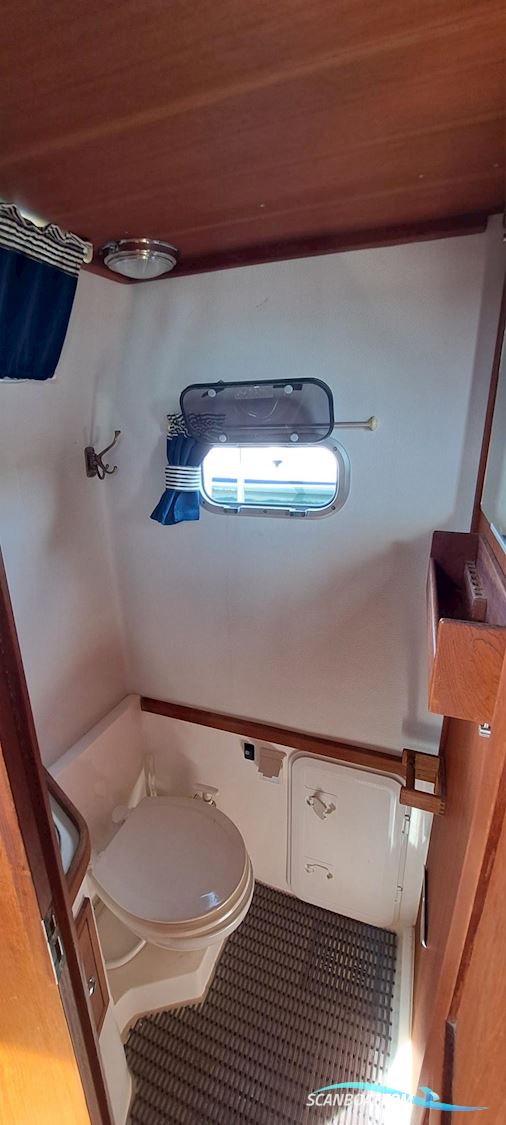 Nord Star 31