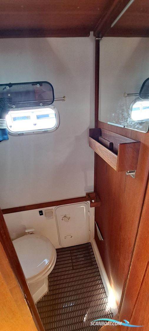 Nord Star 31