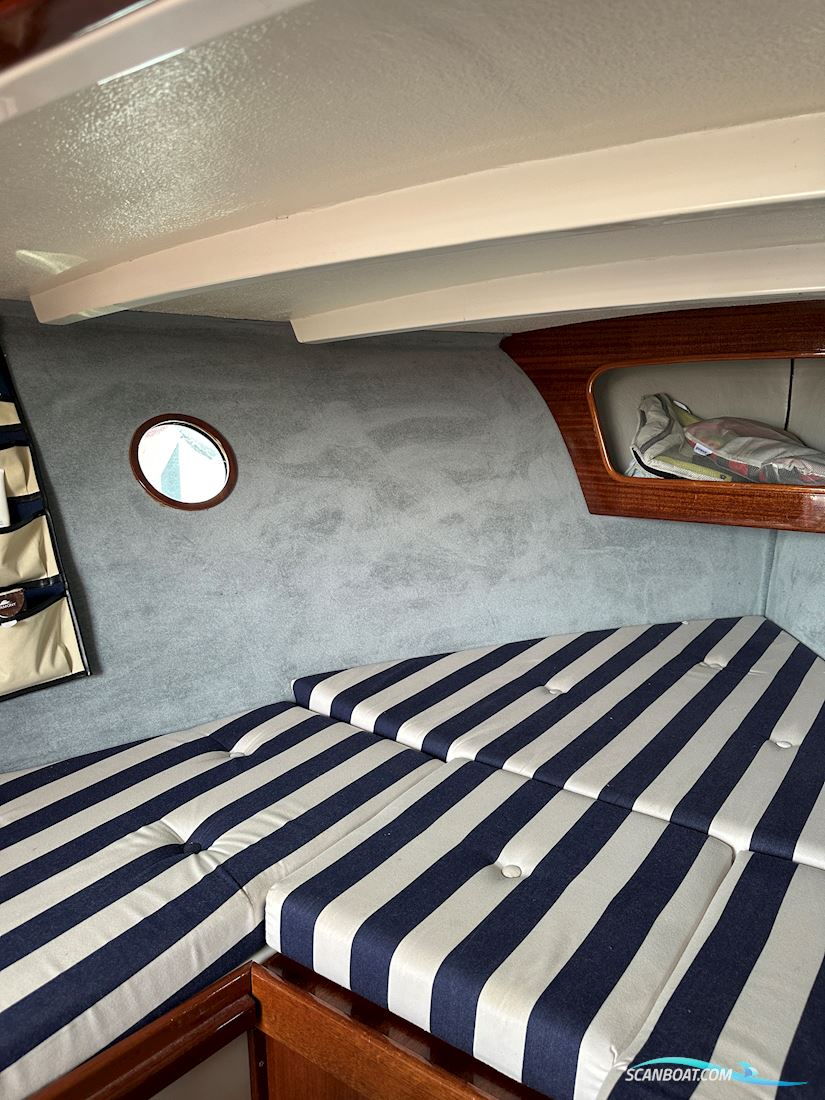 Nordic cruiser