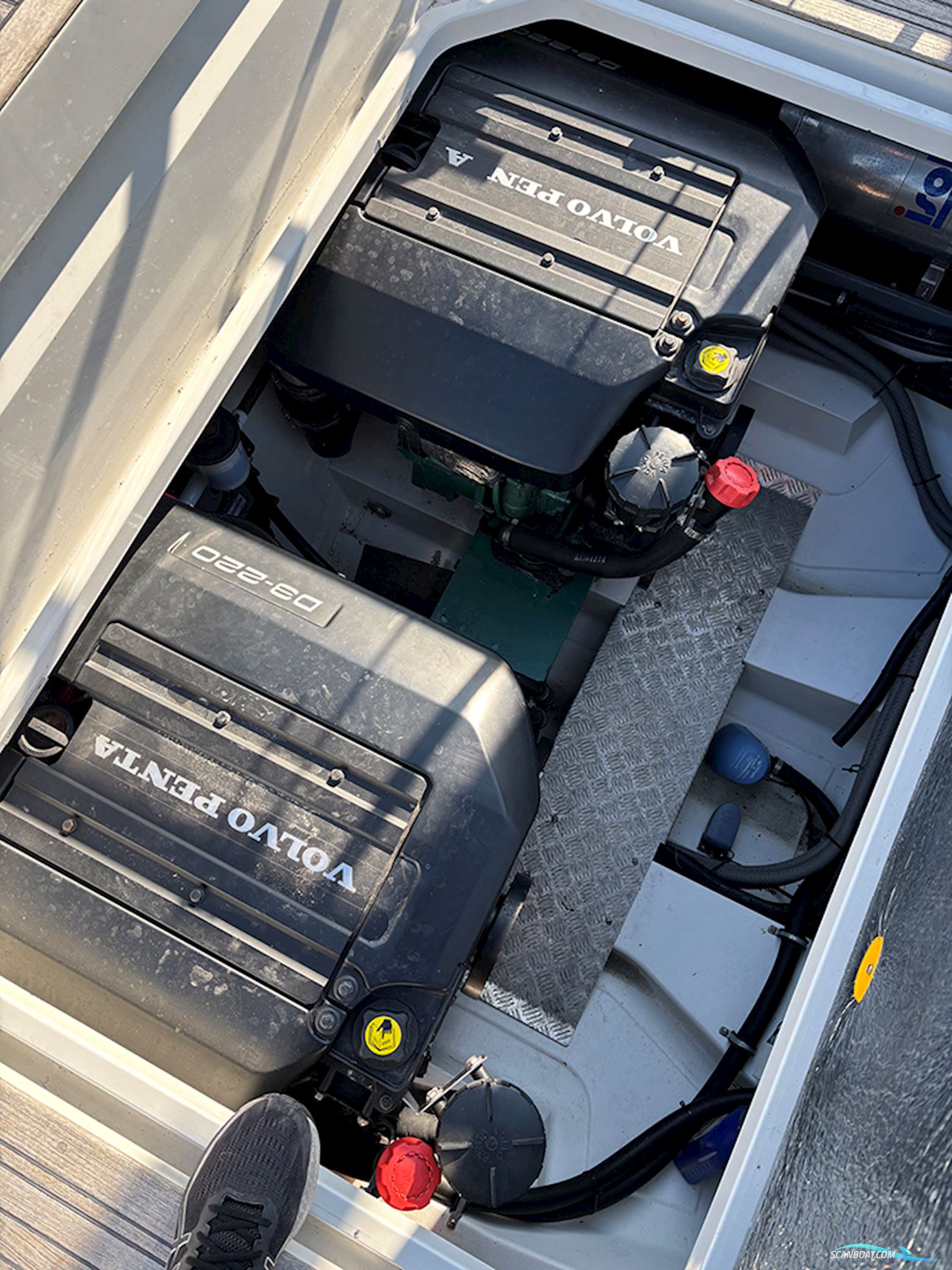 Paragon 31 Flybridge