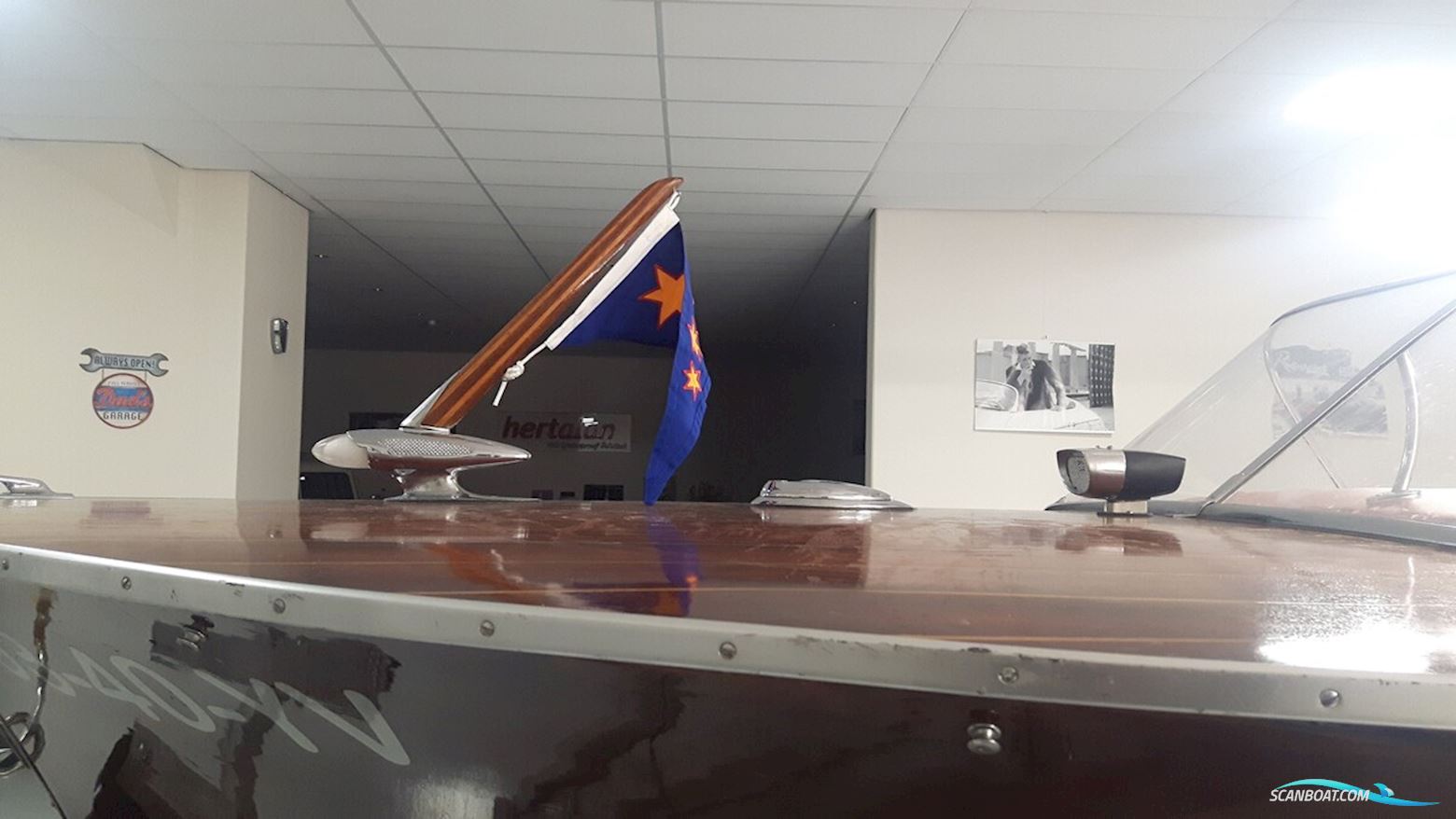 Pedrazzini Cavallino 570