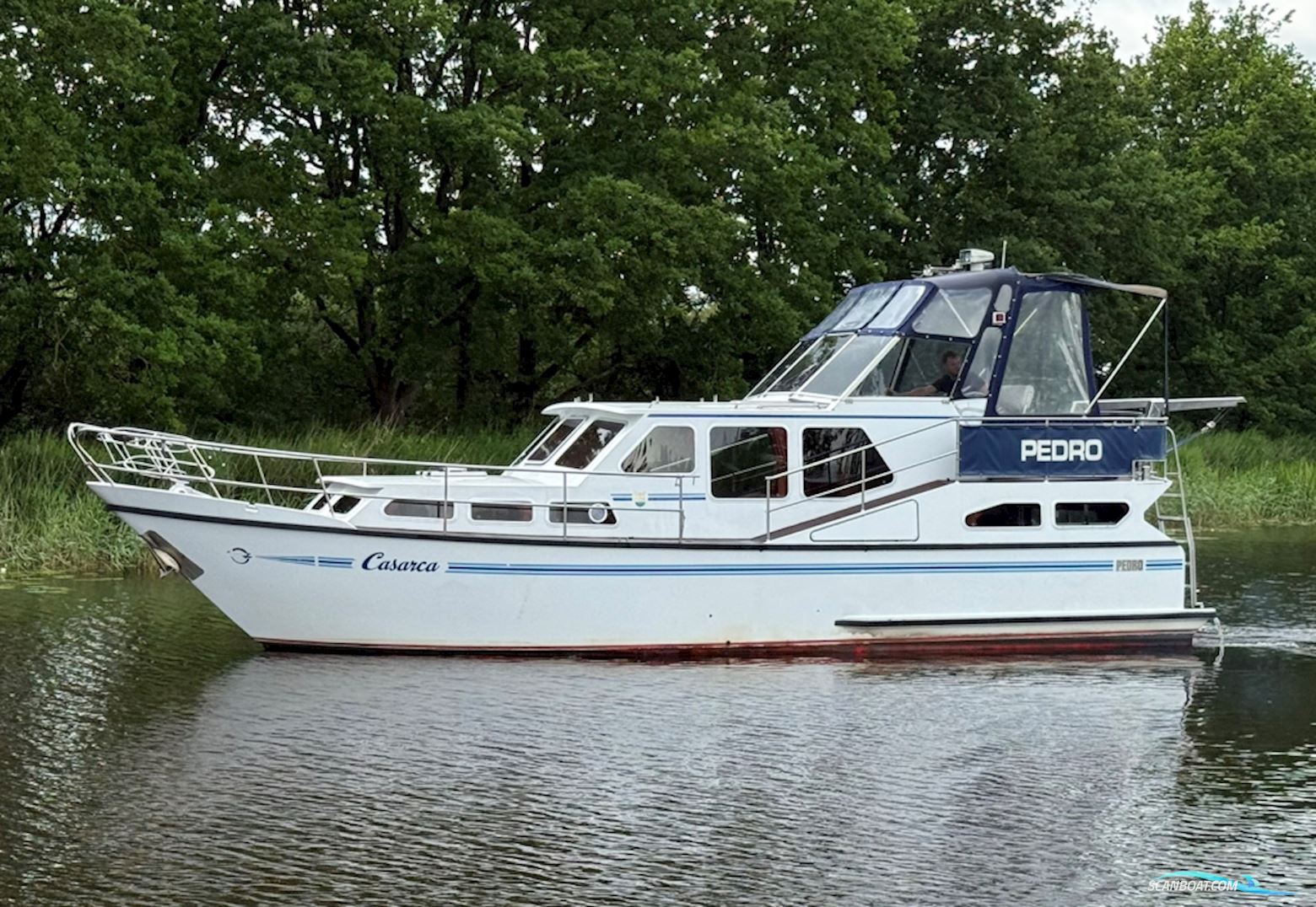 Pedro 37