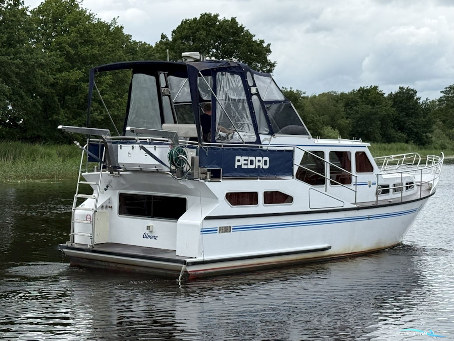 Pedro 37