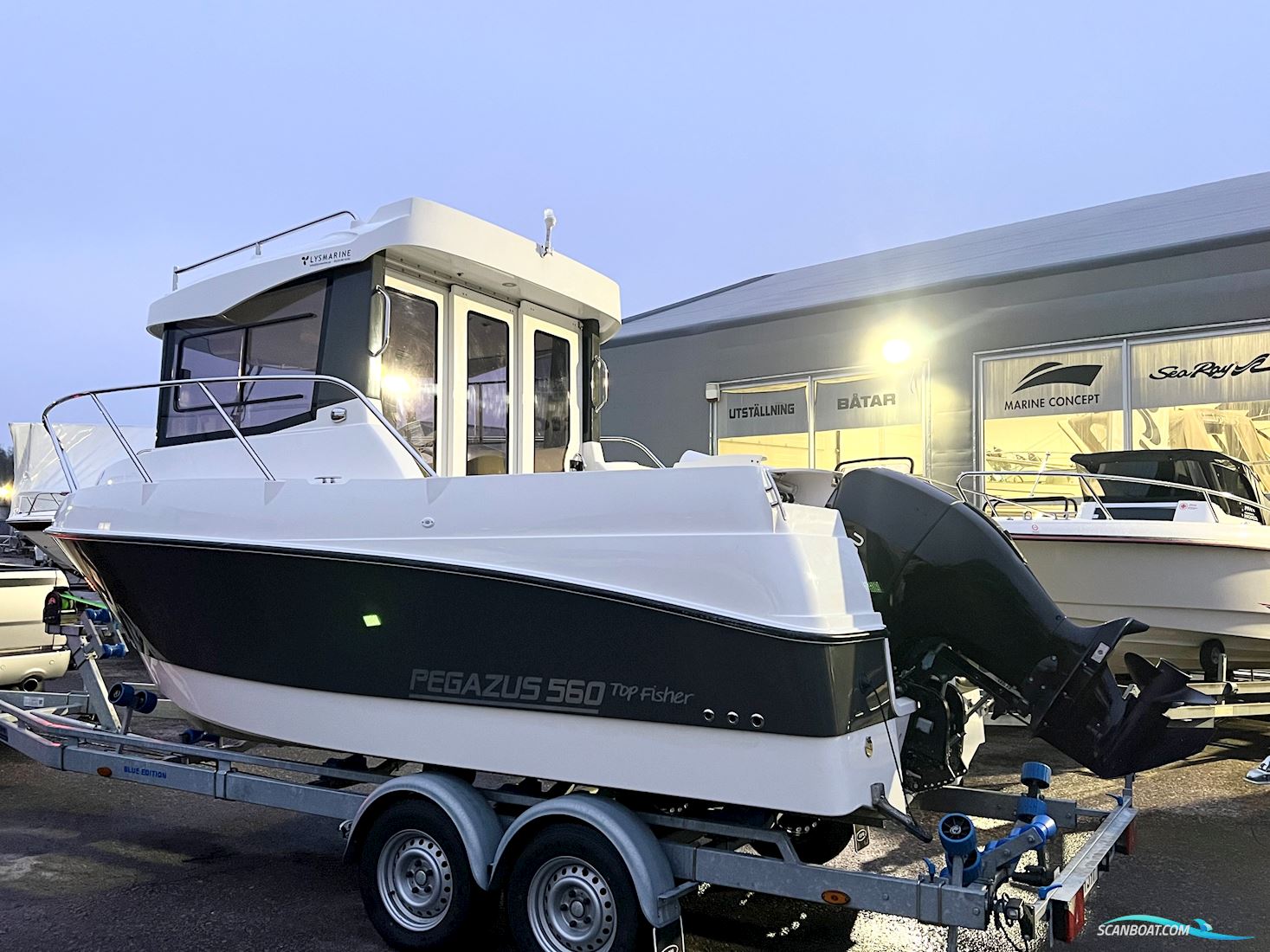Pegazus 560 Top Fisher Motorboat 2020, with Tohatsu 115hk 4-Takt -2020 engine, Sweden