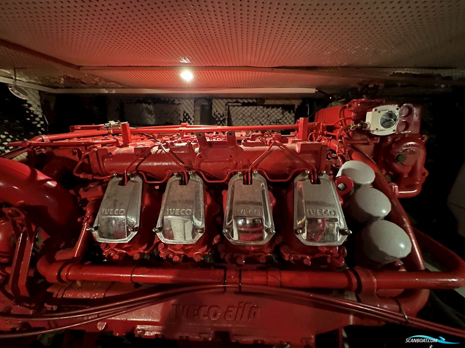 Pfeil 550 Fly