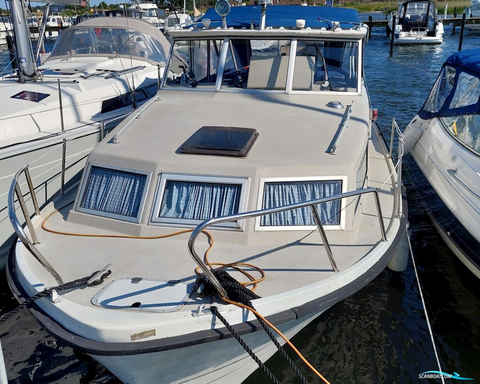 Polar 29